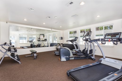Fitness center with multiple workout equipment, mirror on wall and windows